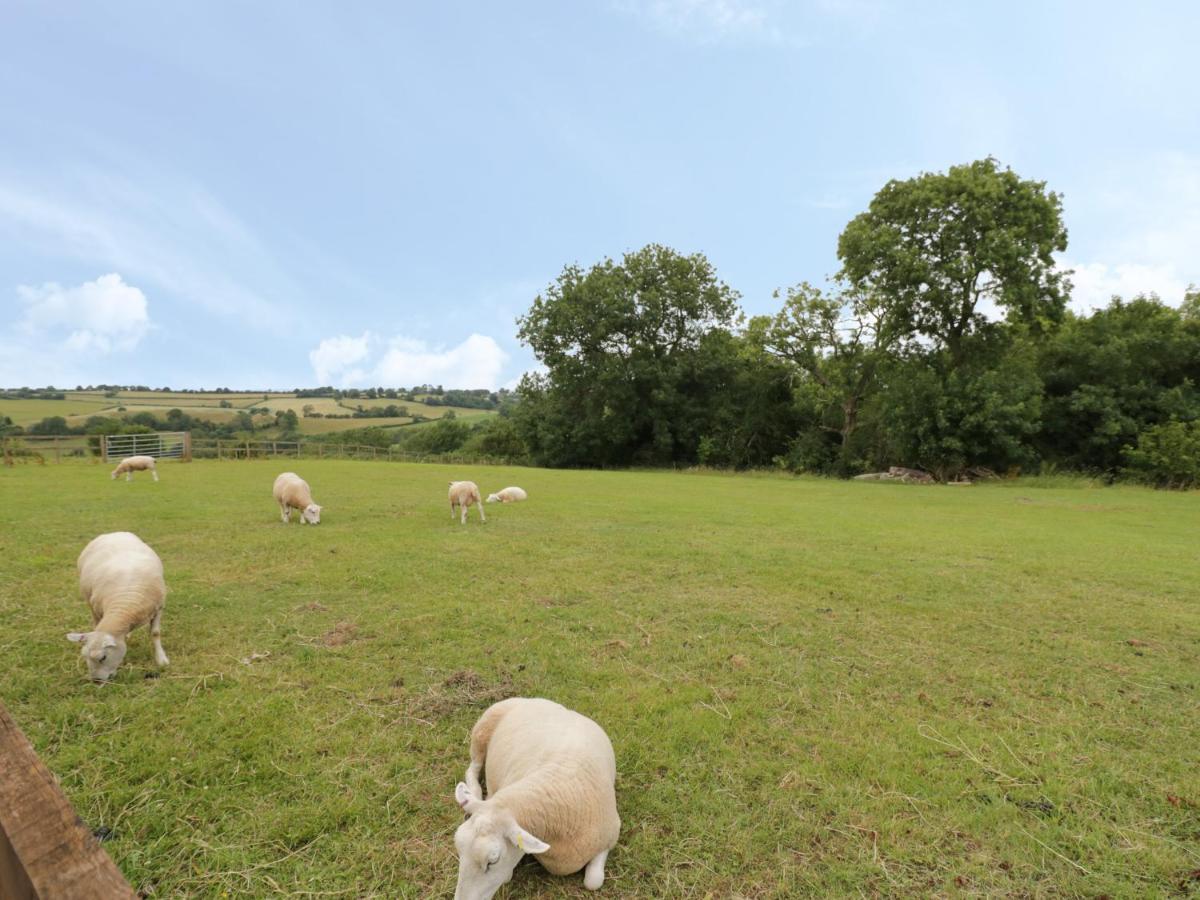 Holmer Farm Leominster Esterno foto